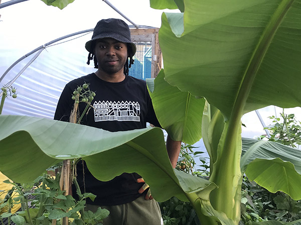 A man in a grey hat and black top in a polytunnel, surrounded by green plants