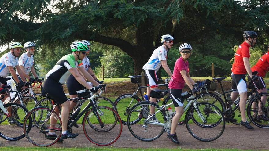 Group of cyclists on a road in front of trees.